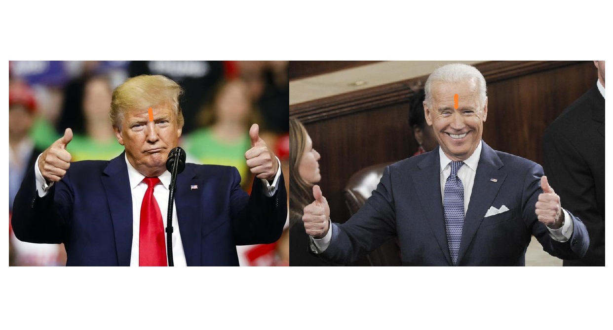 The competition for Hindu votes