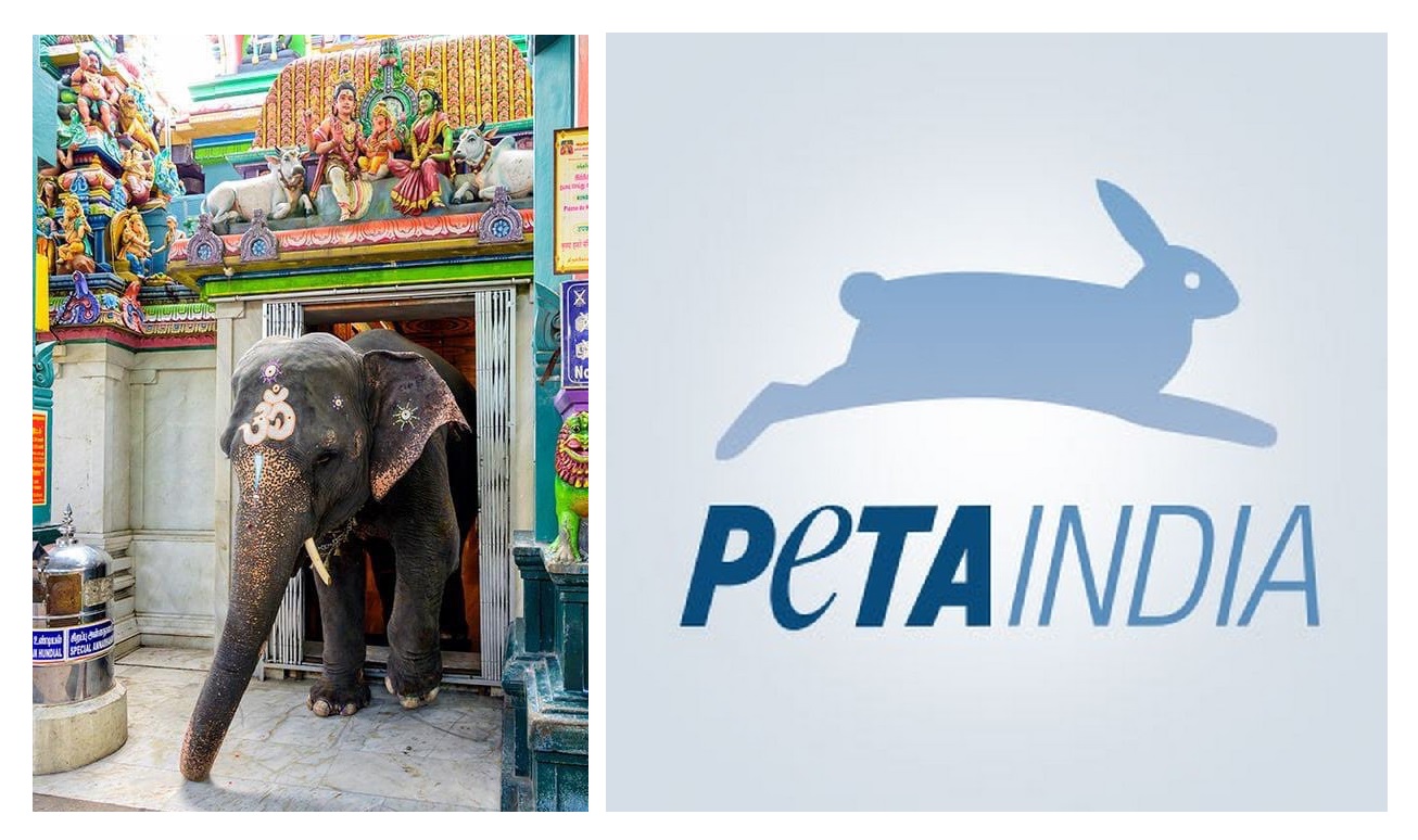 PETA goes after temple elephant Lakshmi, again