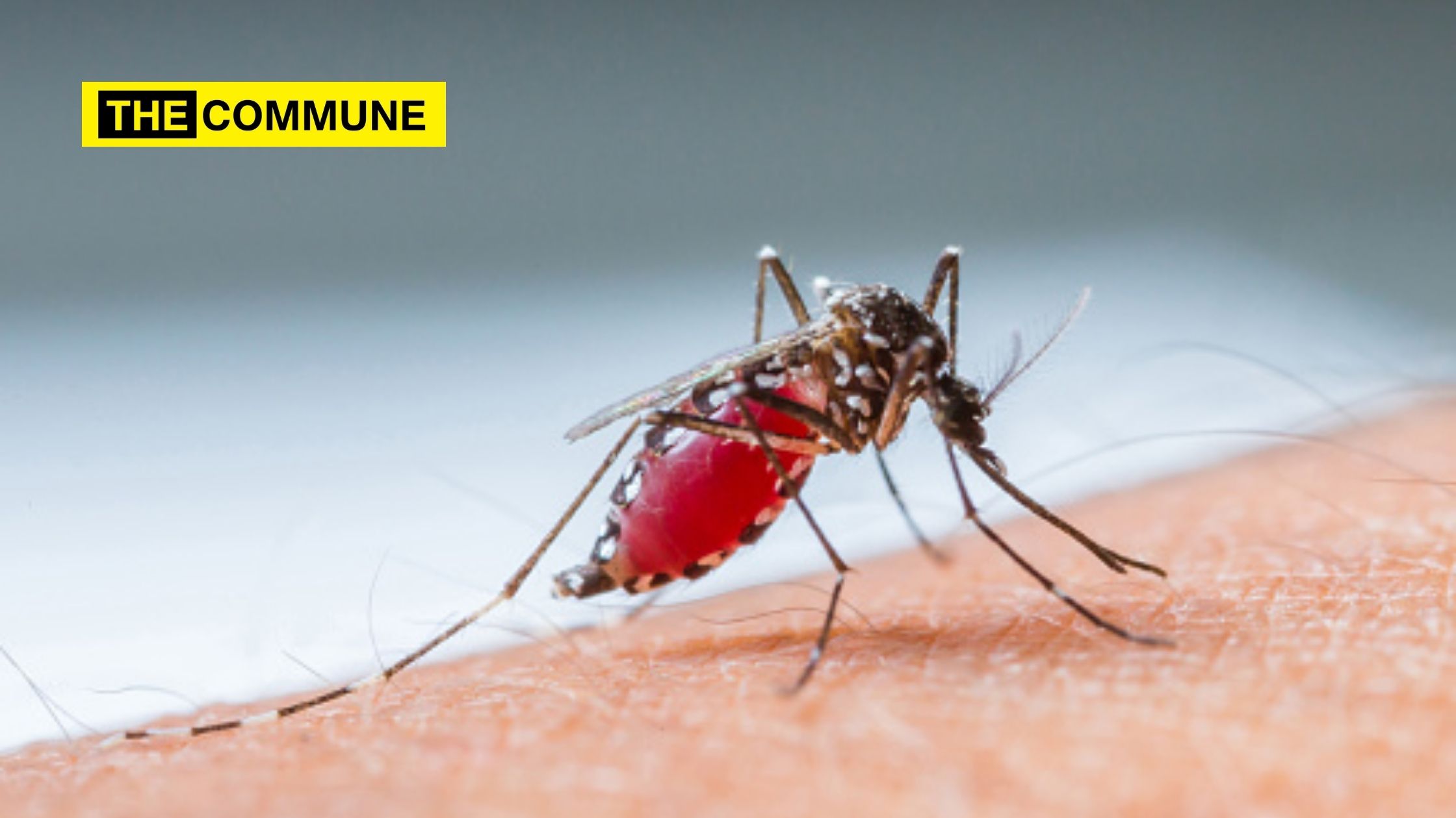 WHO World Malaria Report 2020: India continues to make impressive gains in reduction of Malaria burden