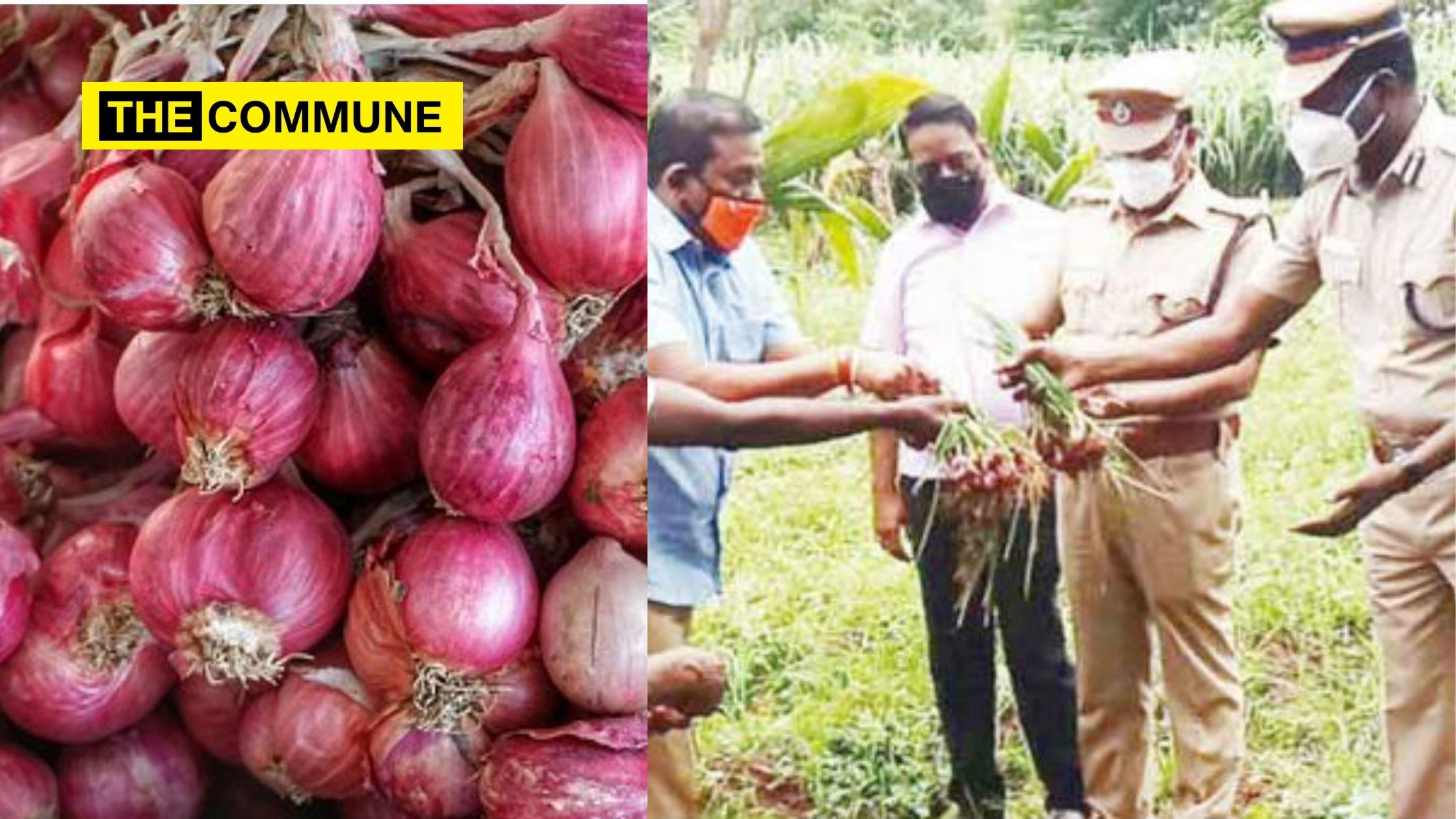 Small onions puts smiles on the faces of Tiruchirapalli prison inmates