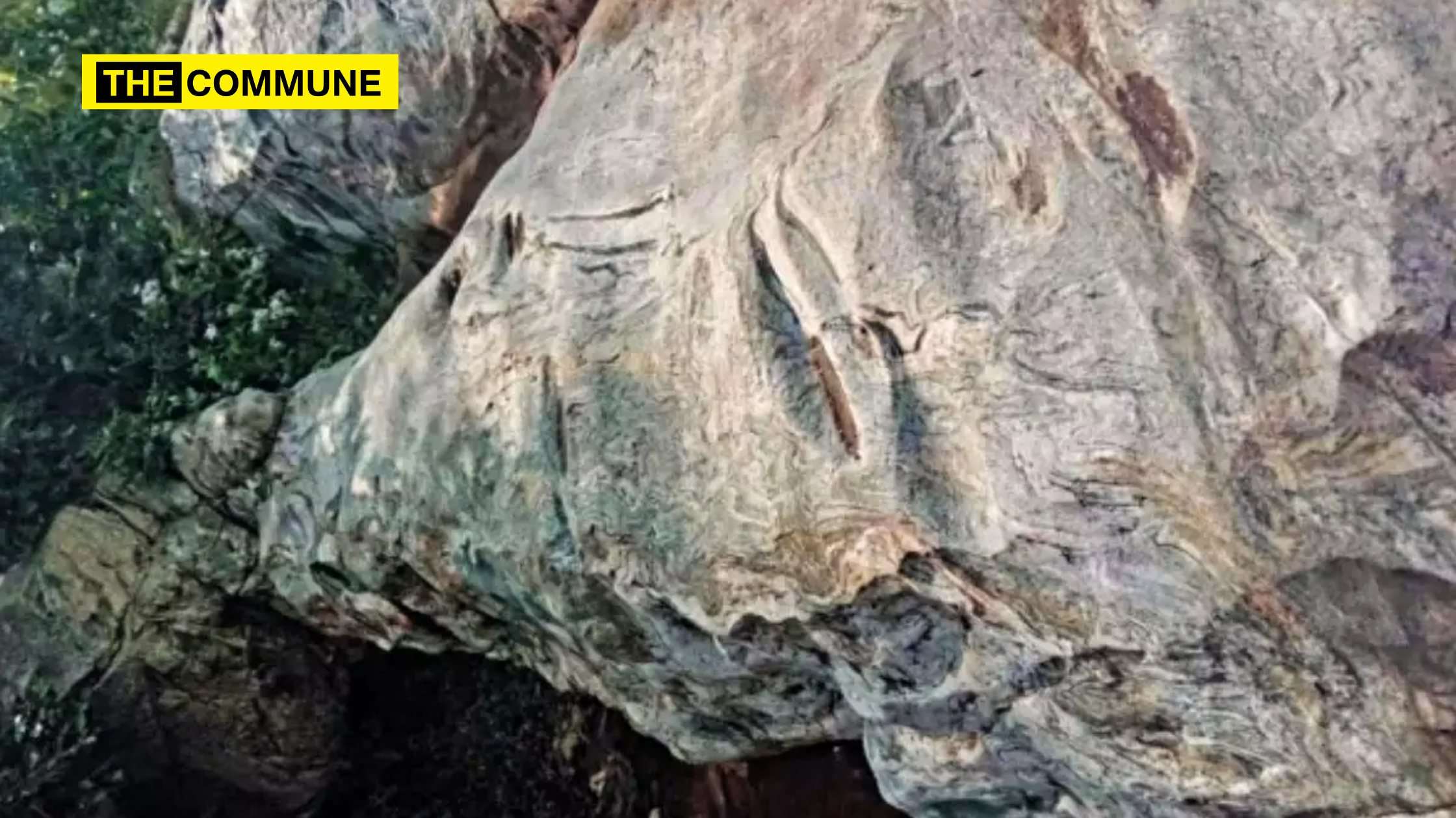 Simple Work Blog Banner(4) Neolithic grooves