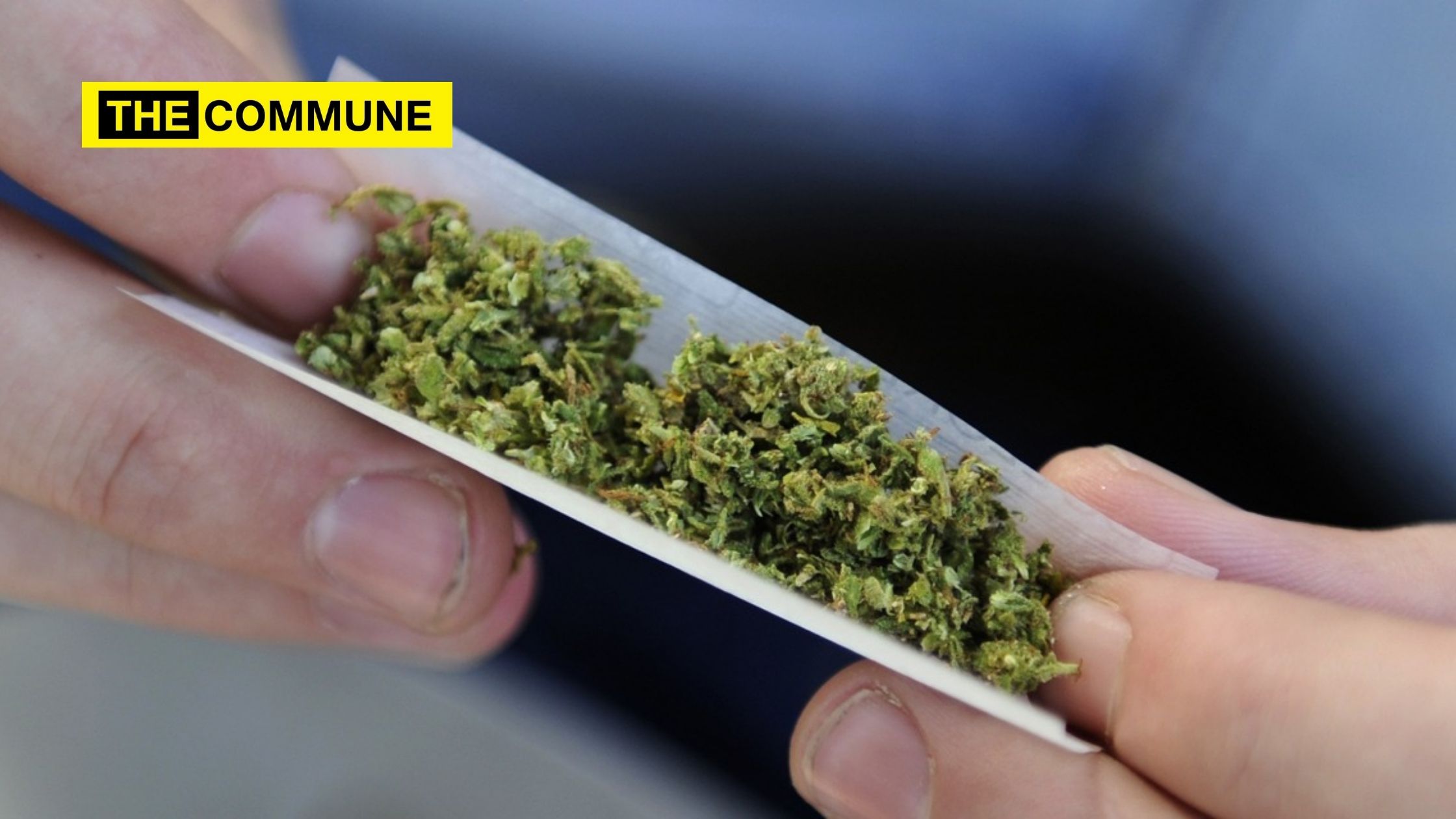 Puff, puff, pass: Weed is now legal in New York New York weed marijuana cannabis