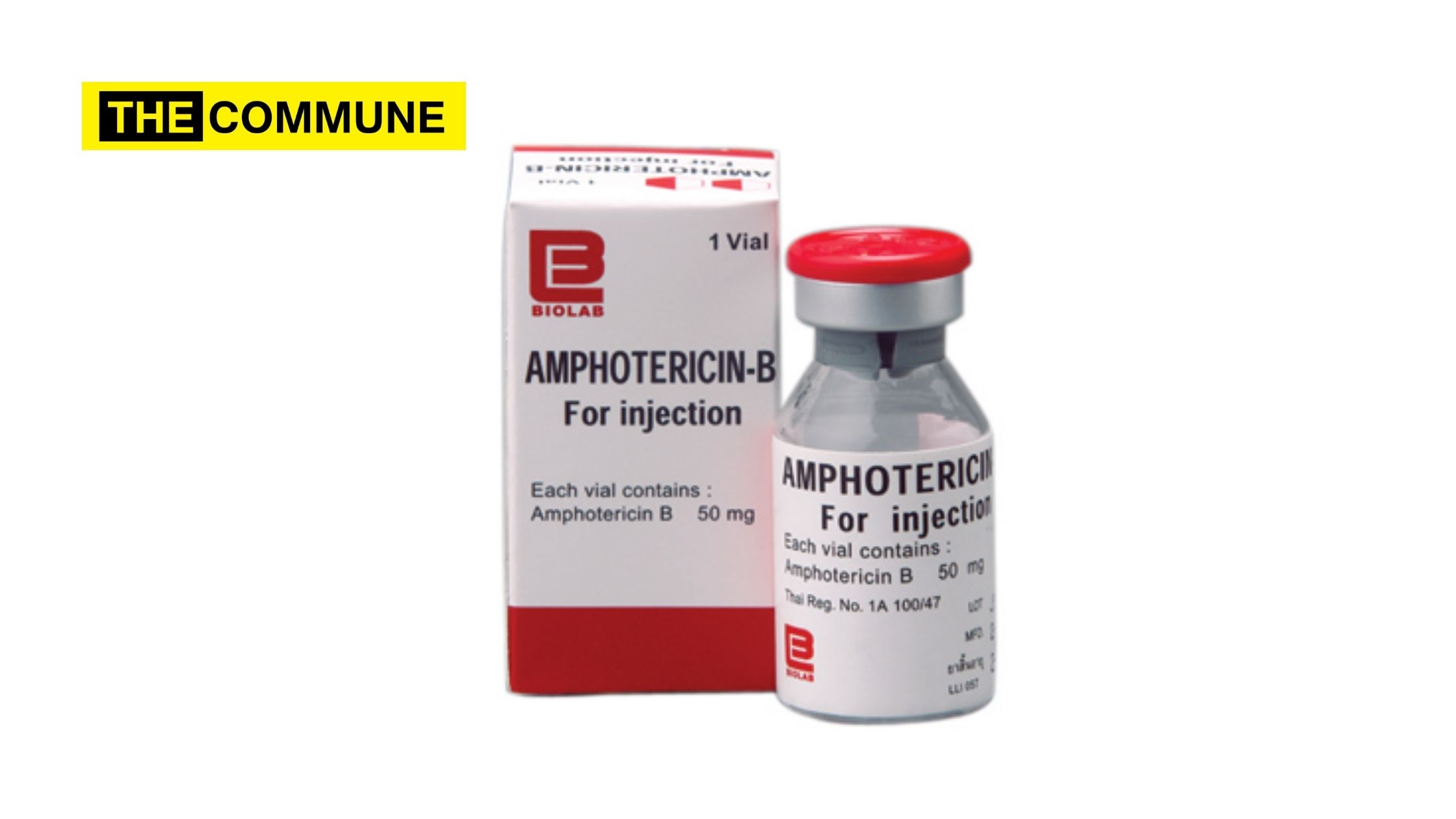 Amphotericin B