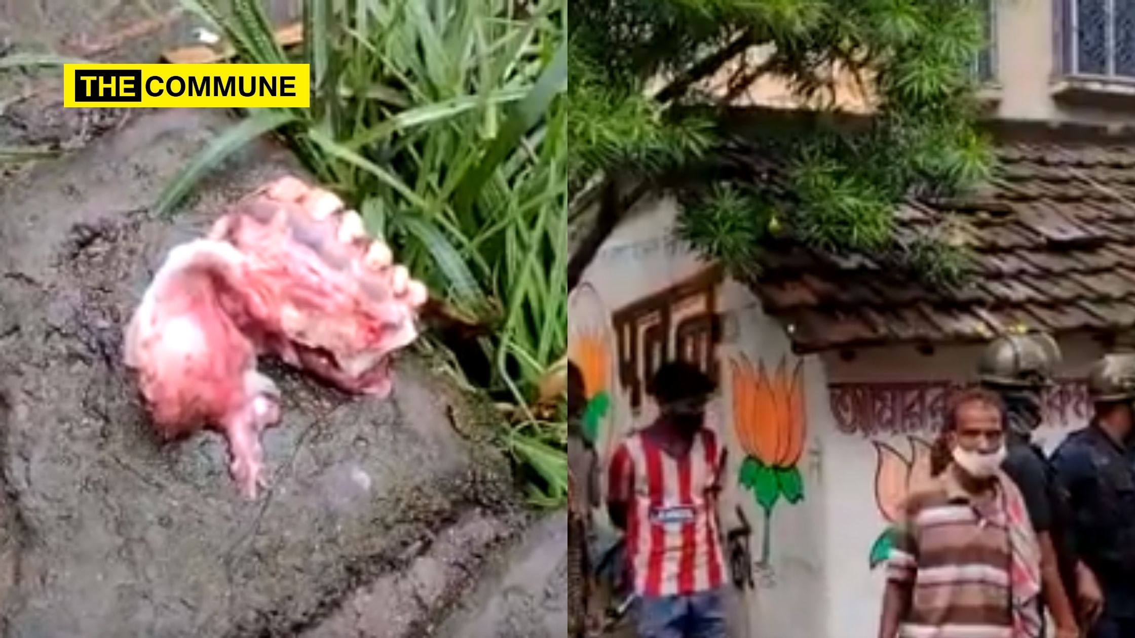 Bengal: 25 year old BJP worker killed in a bomb attack in broad day light, Guv Dhankar slams Mamata Govt