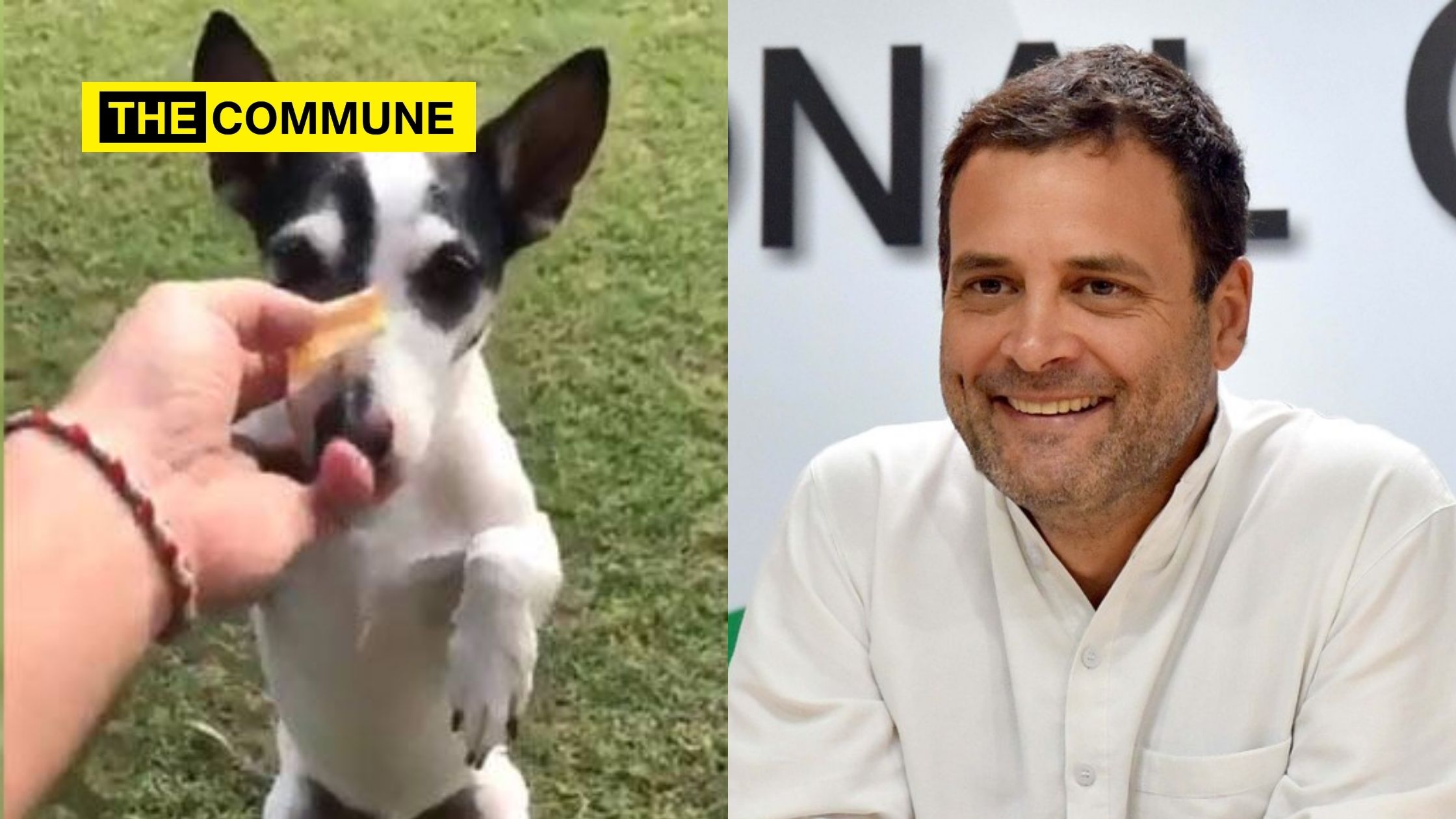 rahul gandhi pidi