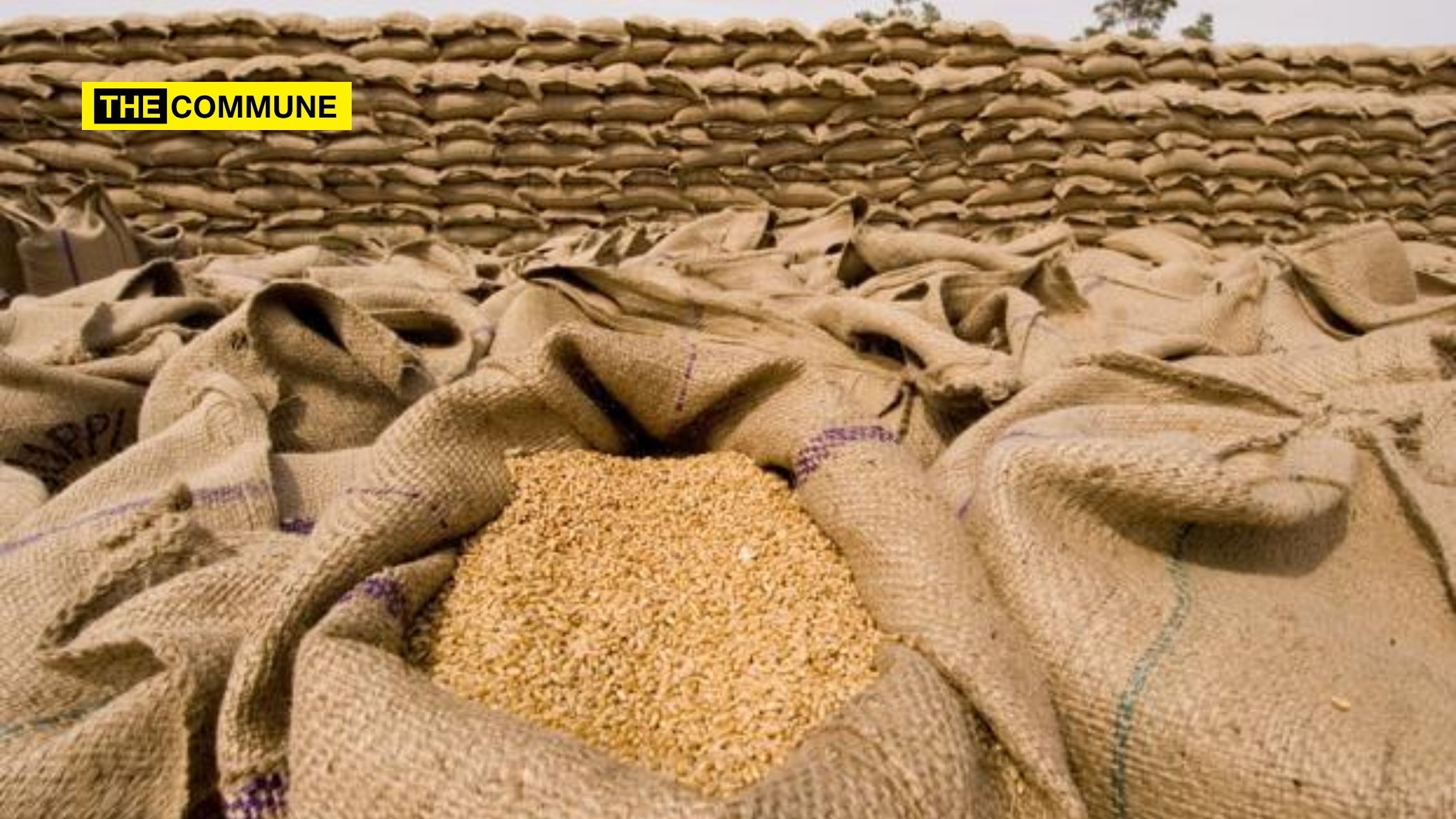 India all set to export record 7 million tonnes of wheat as Russia