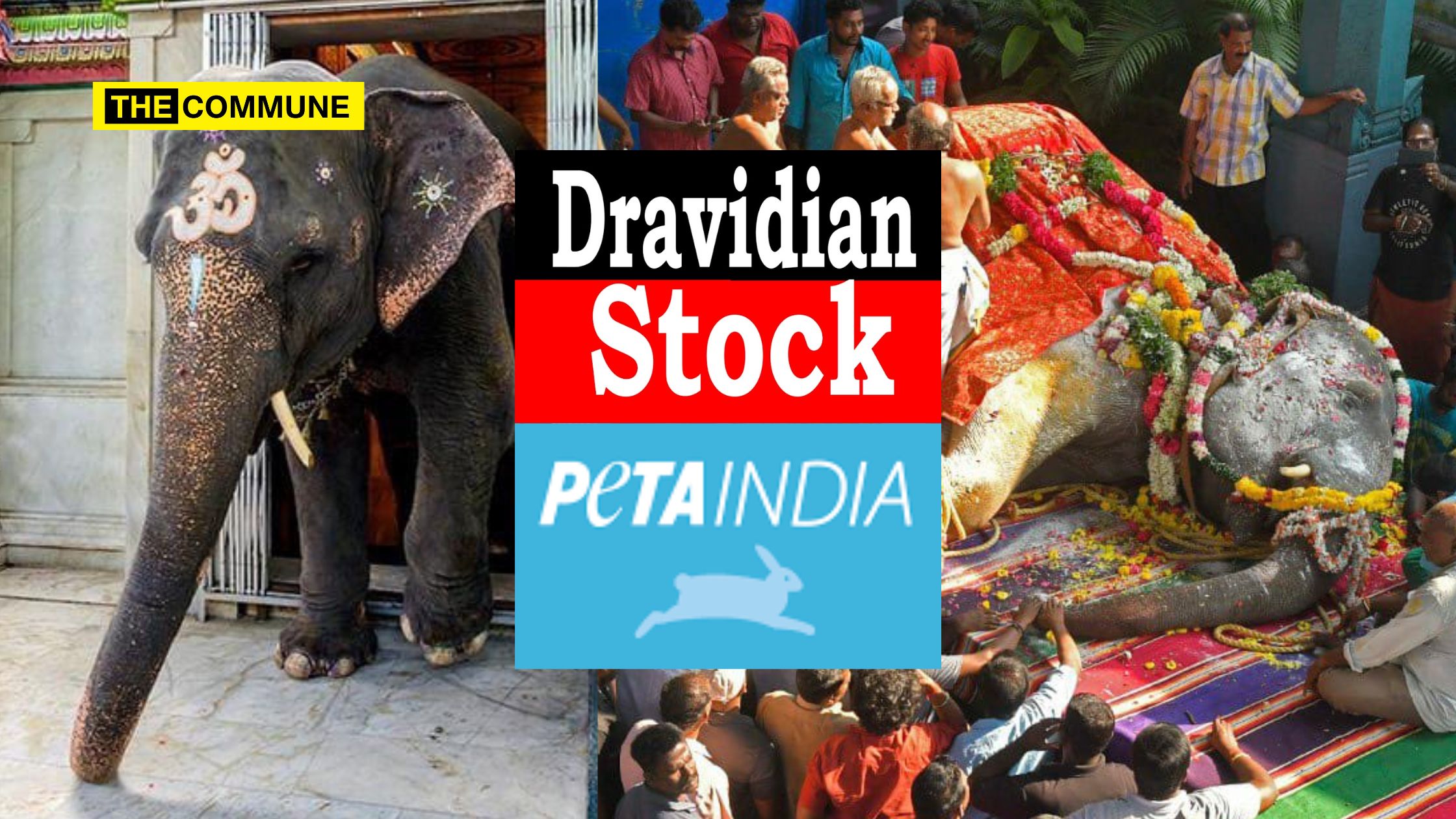 Dravidian Stockists Peddle PETA's Narrative On Temple Elephant Lakshmi ...