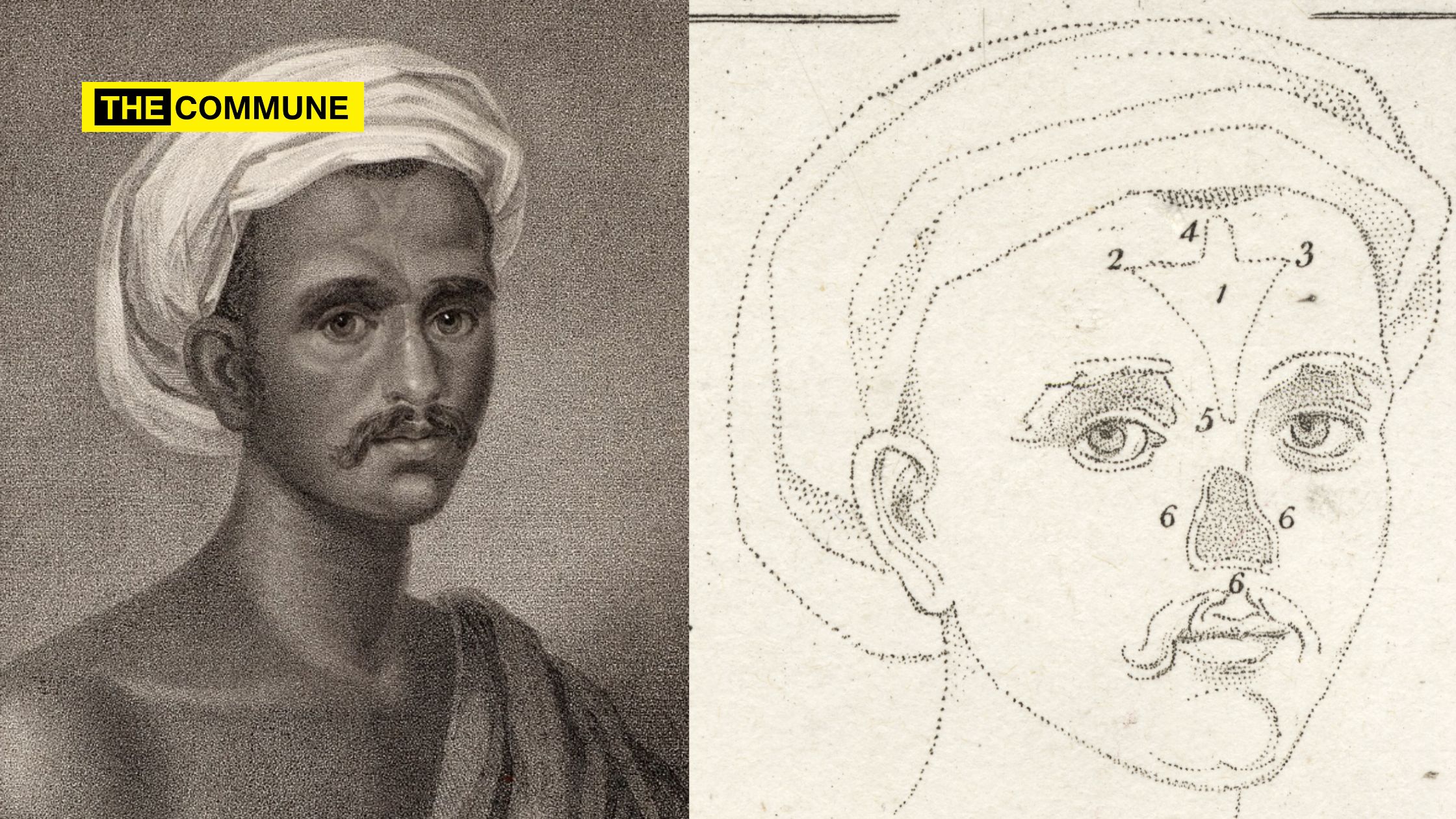 The First Nosejob In Modern Human History