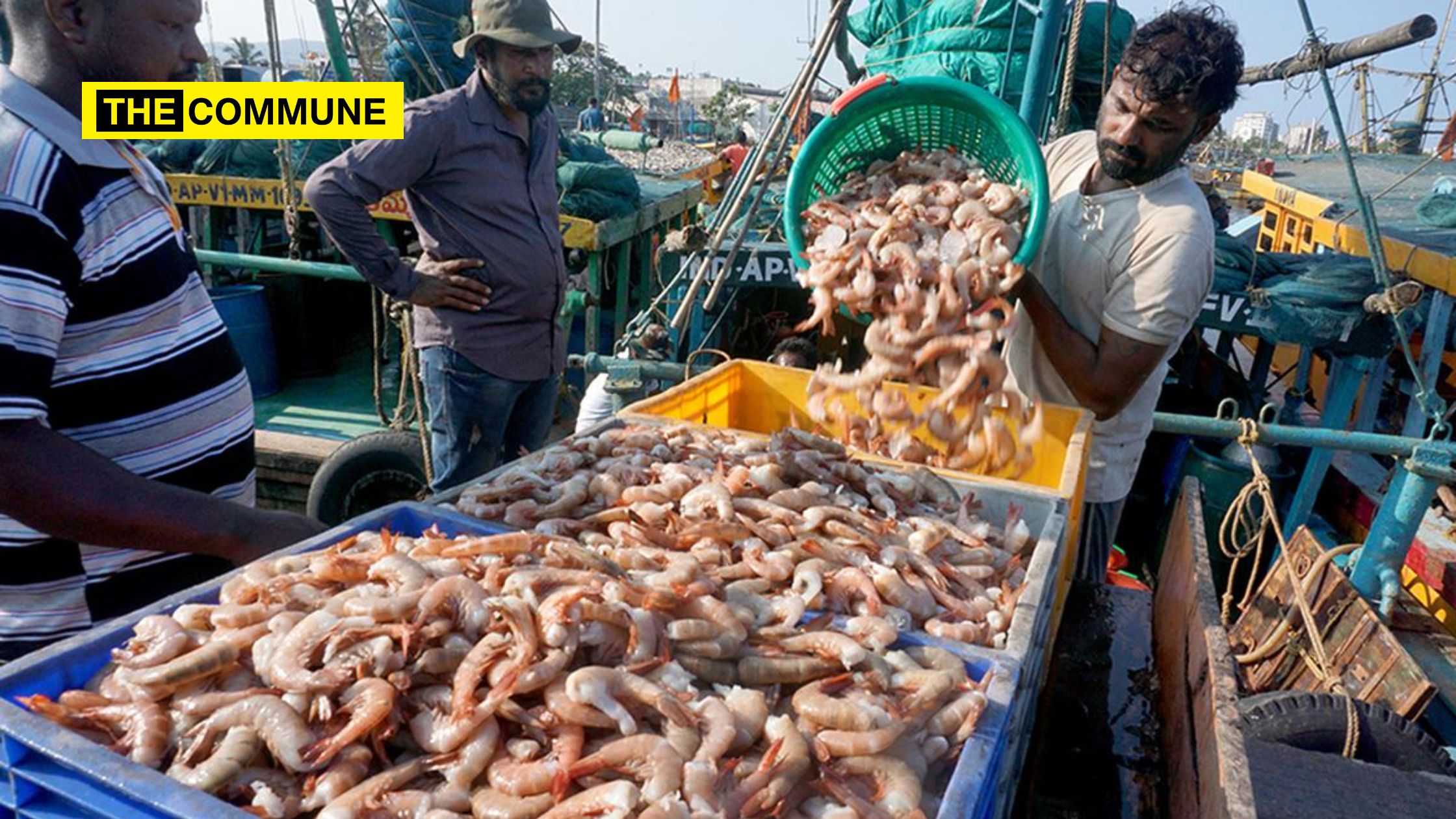 Qatar Lifts Ban On Frozen Seafood From India The Commune