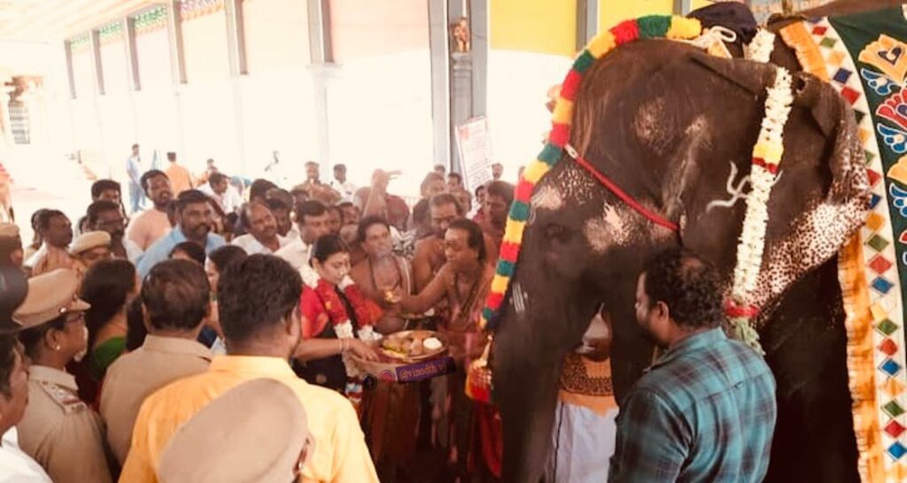 Durga Stalin Performs Bhima Ratha Shanti Pooja To Mark 70th B'day Of ...