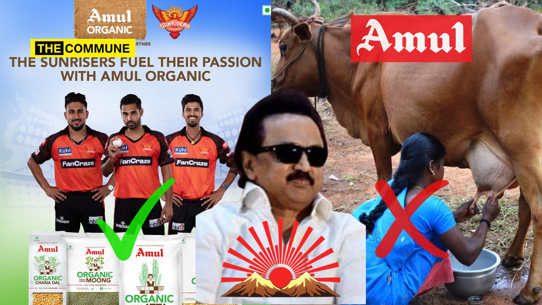 dmk mk stalin aavin vs amul sponsor sunrisers Hyderabad srh kalanithi maran Dravidian model
