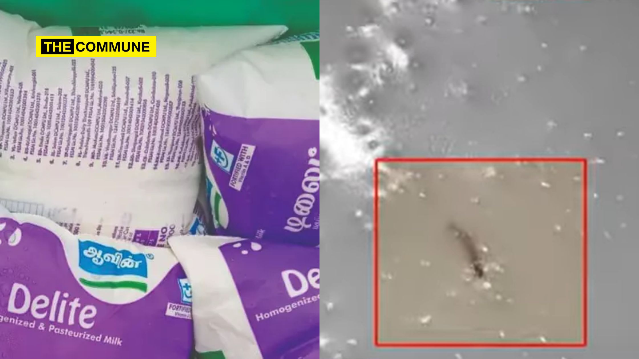 aavin delite milk worm thoothukudi stomach pain purple