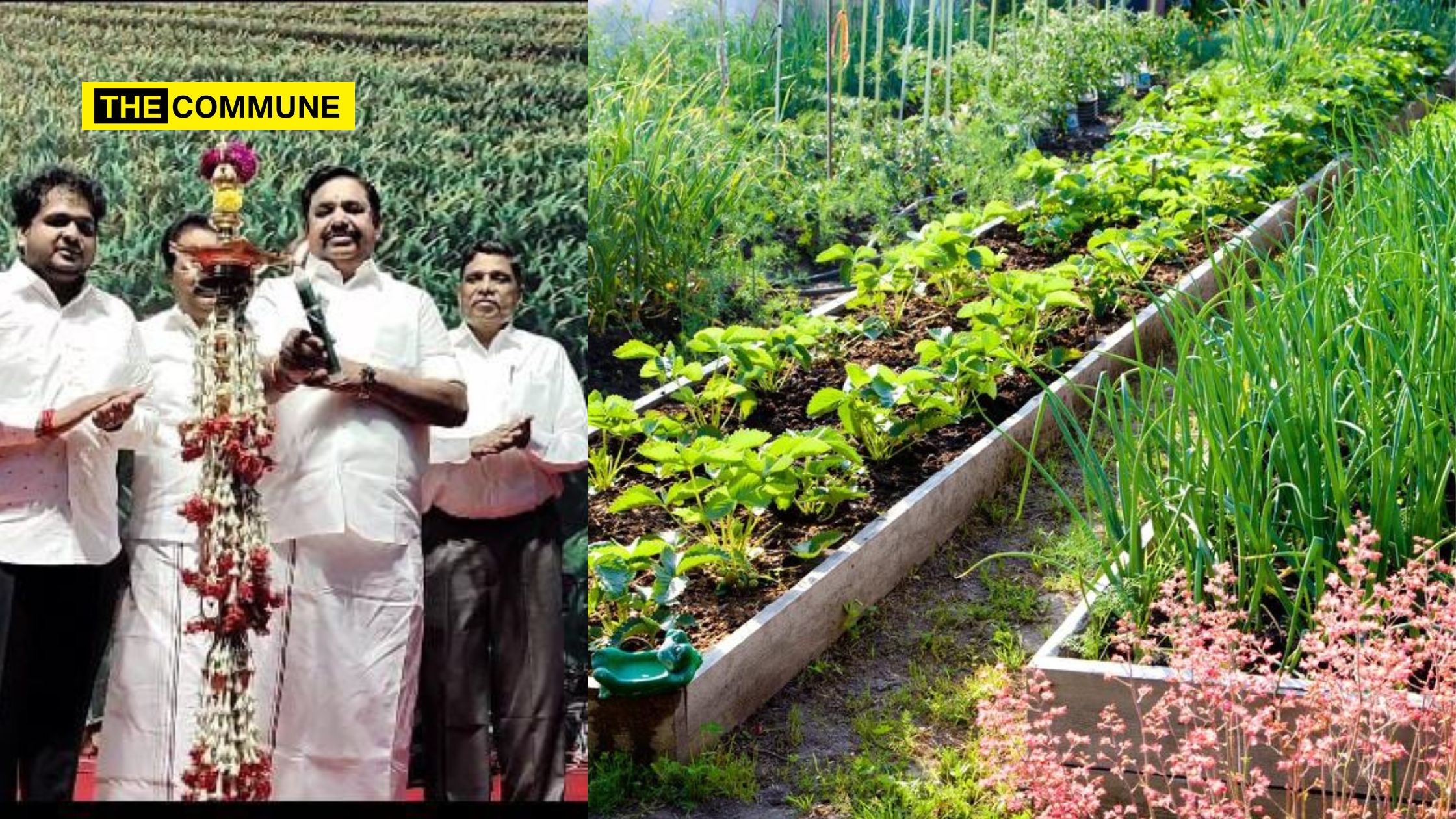 EPS Promises Door-to-Door Vegetable Garden Scheme If AIADMK Returns To Power