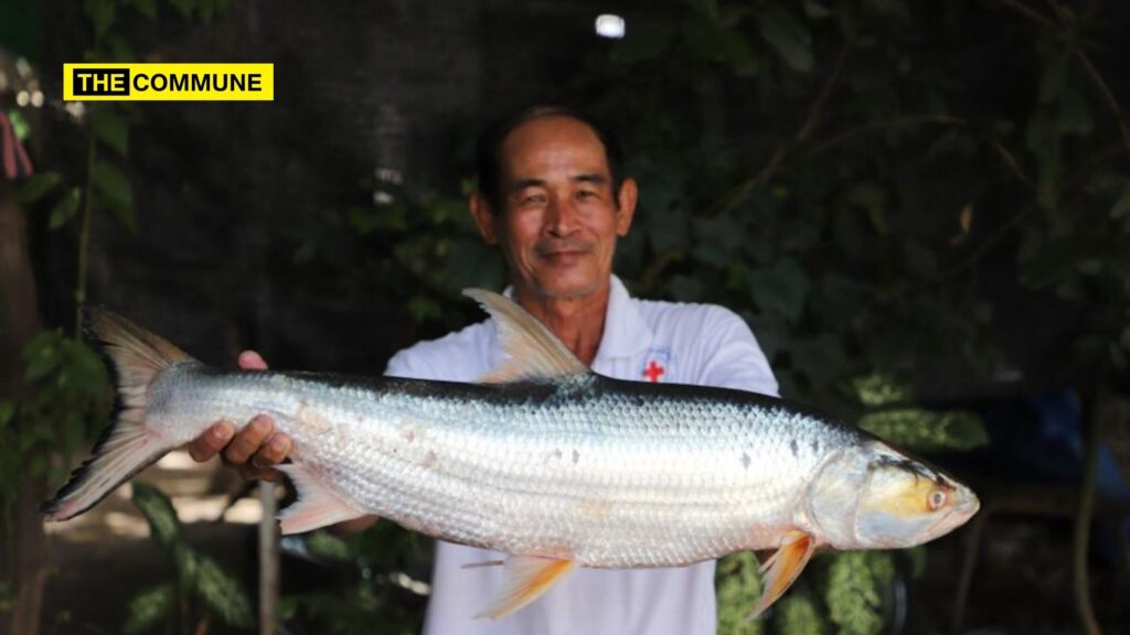 Rare Fish Rediscovered In Cambodia After Disappearance For Nearly Two Decades