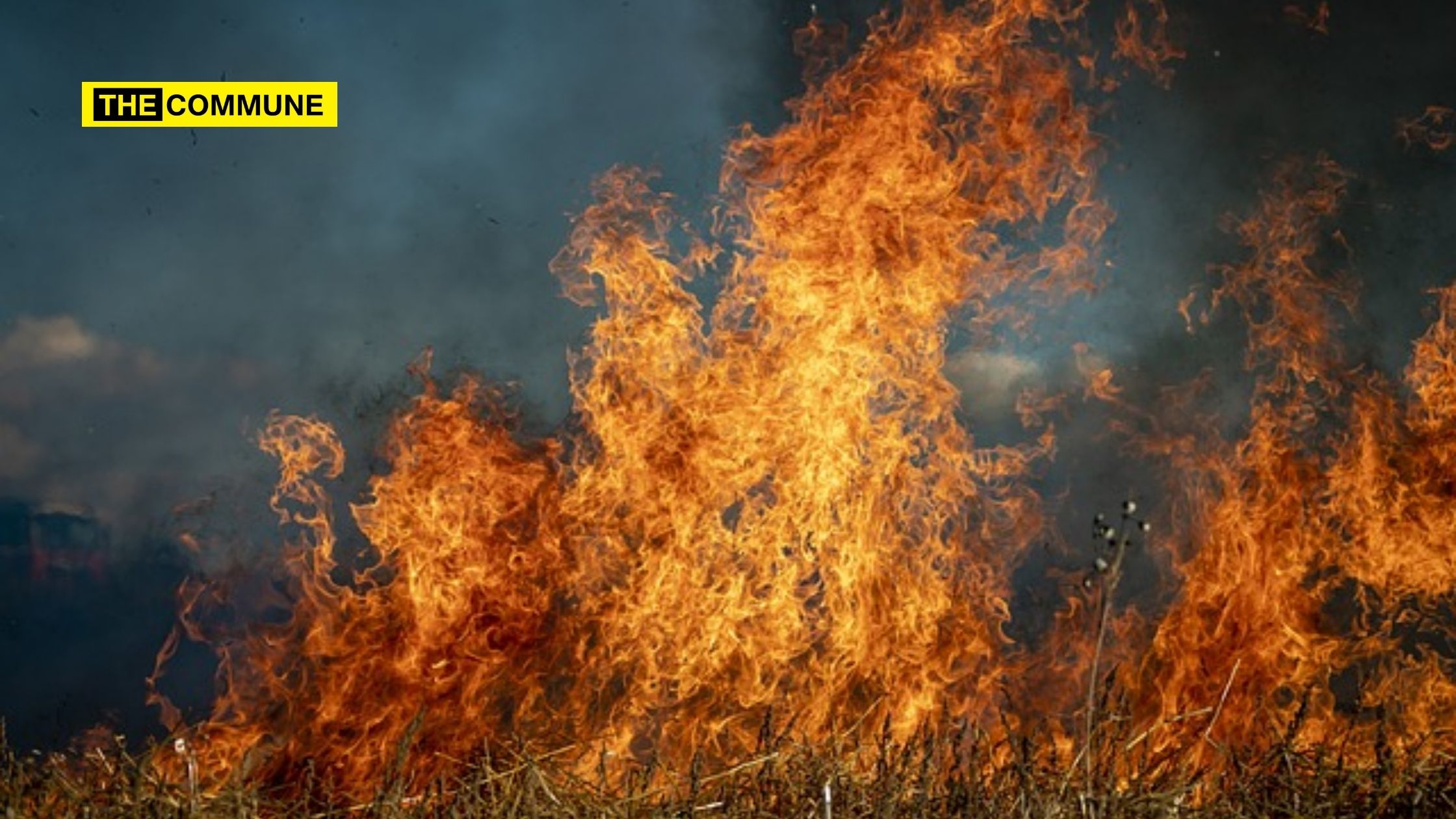 Bushfire Threat Forces Evacuation Of Australian Town
