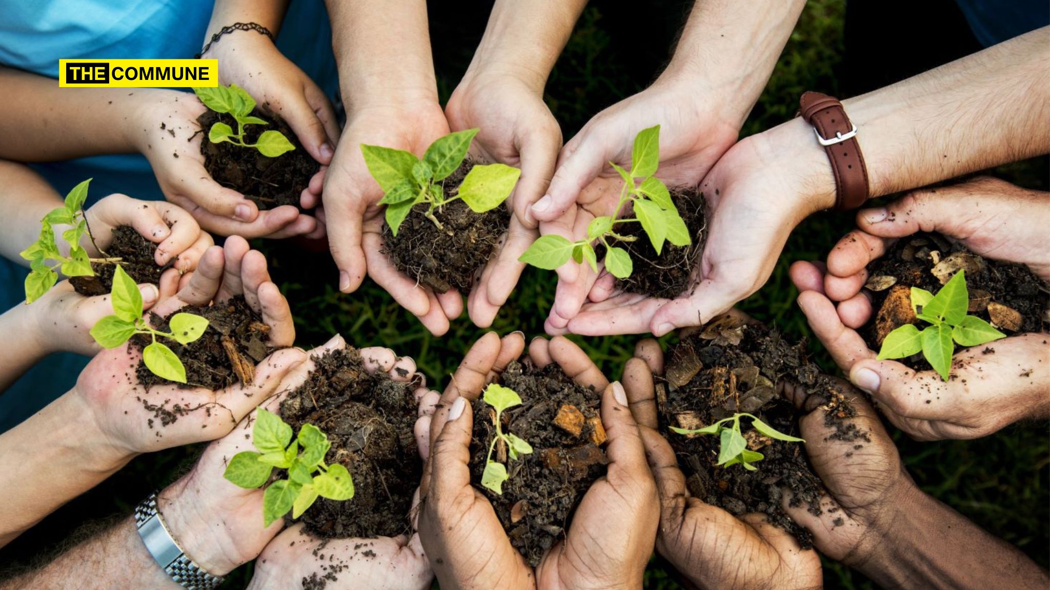 Baku Climate Talks: India Part Of US-UAE Co-Led $29.2Bn Fund For Climate-Smart Agriculture Baku Climate Talks: India Part Of US-UAE Co-Led $29.2Bn Fund For Climate-Smart Agriculture