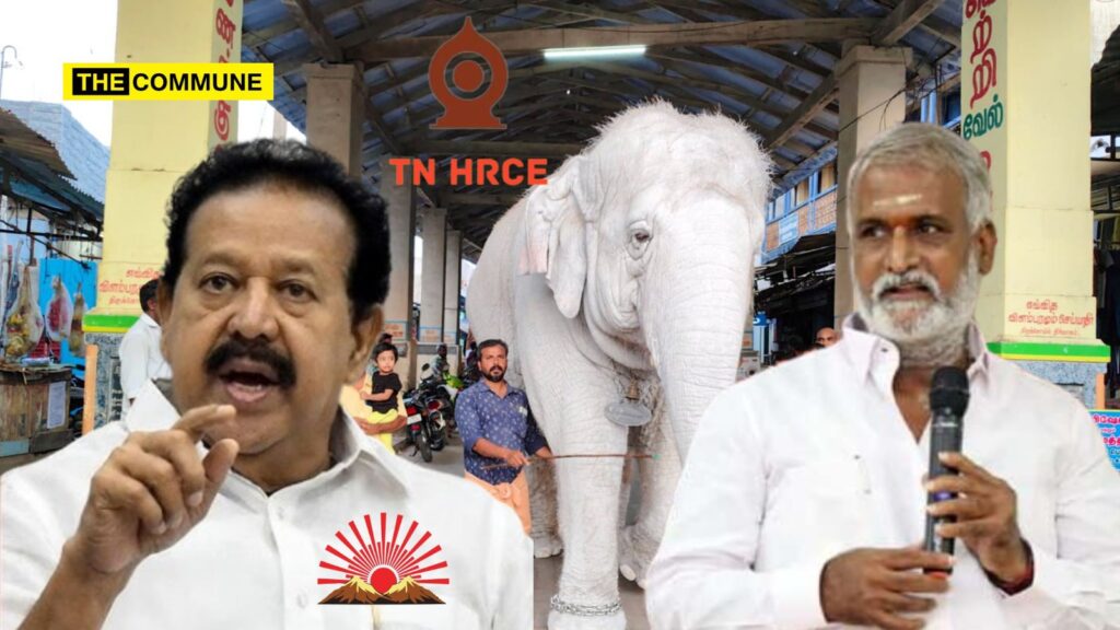 'When HR&CE Fails To Properly Maintain, Such Incidents Occur': DMK Min Ponmudi Blames Sekarbabu's Department On Deadly Temple Elephant Attack