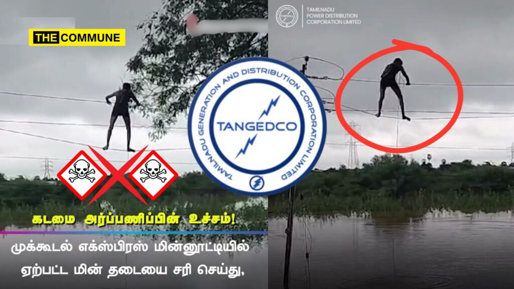 TANGEDCO Posts Video Of Electricity Worker Performing Dangerous Task Without Safety Measures, Faces Backlash From Netizens