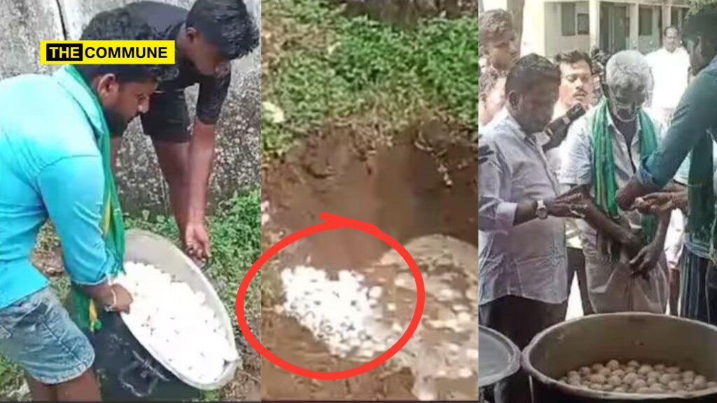 Dravidian Model: Eggs Meant For School Students Under Mid-Day Meal Scheme Found To Be Rotten, Buried After Inspection In Villuppuram Govt School