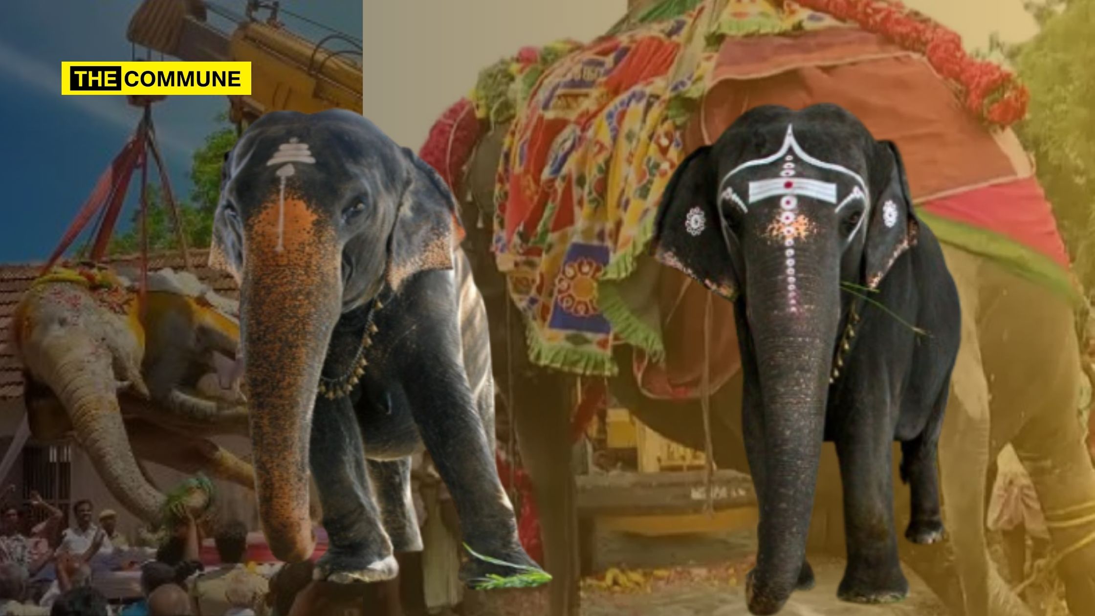 Subbulakshmi And Gandhimathi: 2 Tamil Nadu Temple Elephants Dead In A Span Of 4 Months