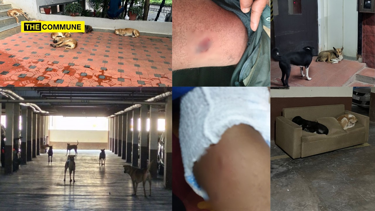 WhatsApp Image 2025-03-07 at 17.02.42