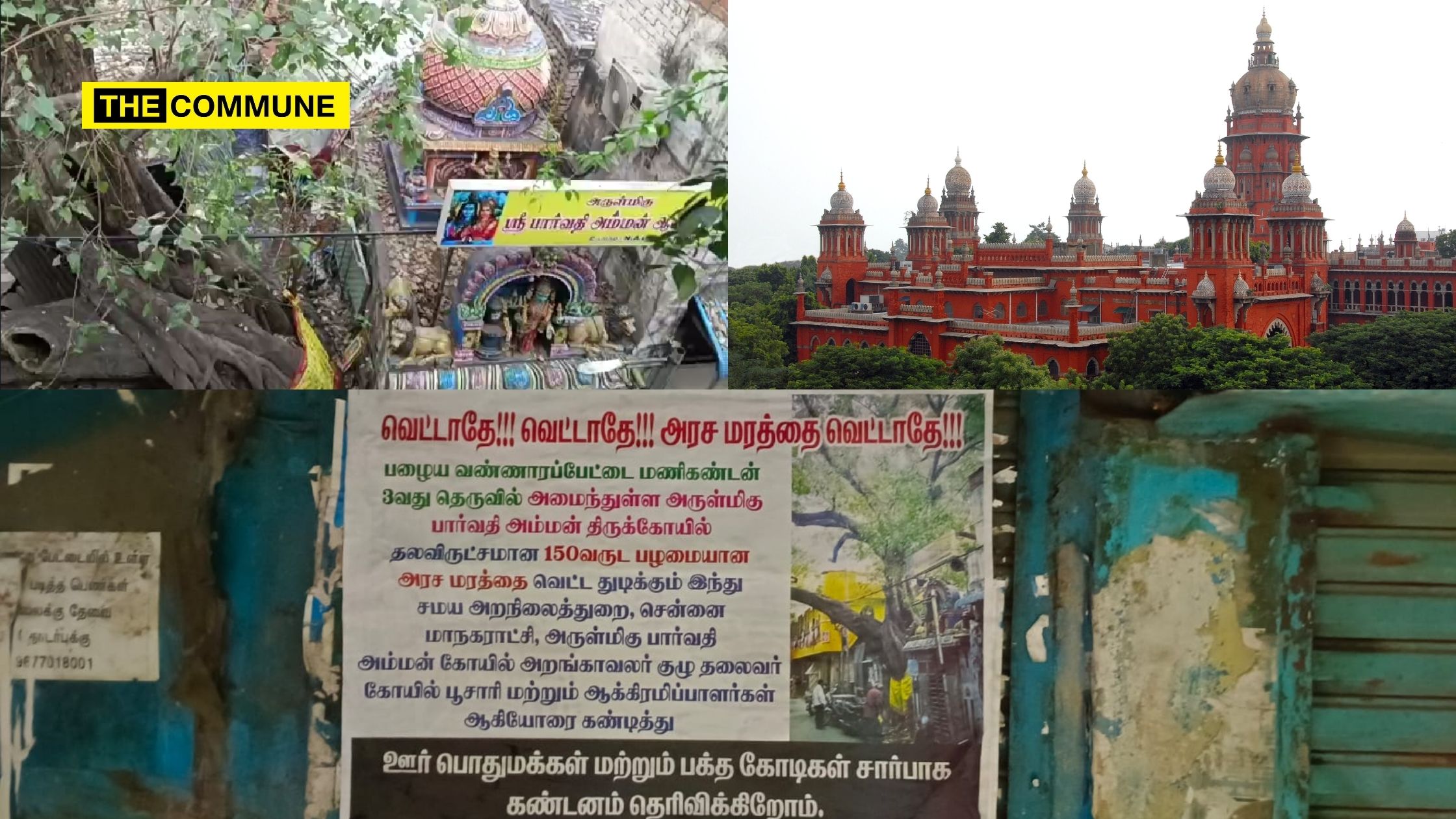 Madras High Court Intervenes To Protect 150-Year-Old Sacred Tree At Chennai Temple After Devotees In The Neighbourhood Raise Concerns About HR&CE Dept’s “Renovation Work”