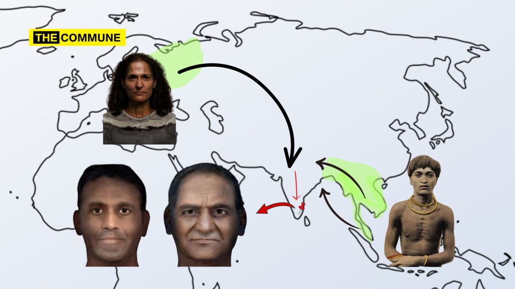 dravidian stocks west eurasian dna