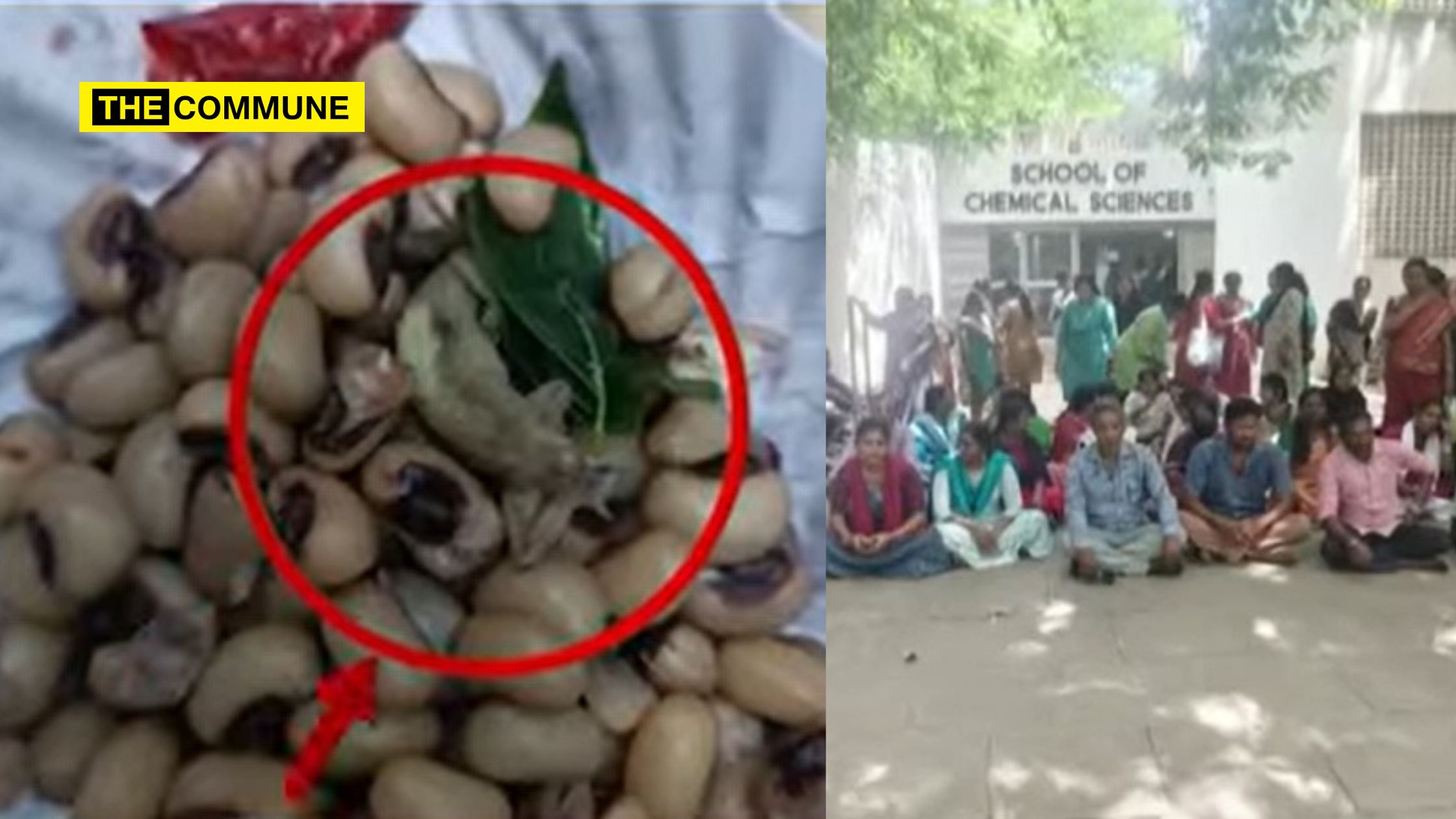 naan muthalvan training university of madras lizard food contamination hospitalised