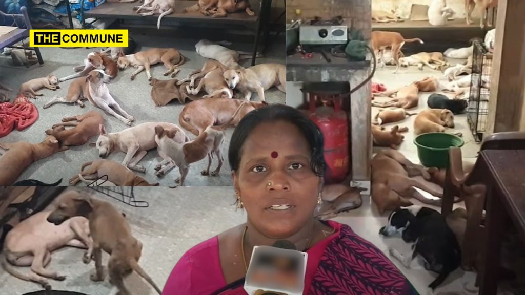 mullainagar dogs youtube