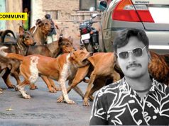 Hosur MBA Graduate Dies Of Rabies After Untreated Dog Bite As TN Reports Soaring Dog Bite Cases dog bite rabies