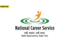 National Career Service Portal Crosses 5.67 Crore Job Seekers; Over 6.49 Crore Vacancies Mobilised, Says Govt national career service job seekers portal vacancies