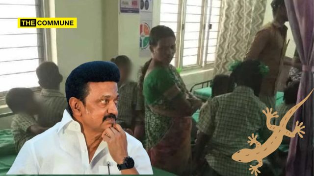 breakfast scheme lizard