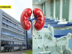 TN Becoming Kidney Trafficking Hub? 52 More Victims Speak Out, Network Spreads Beyond State tn kidney trafficking scandal