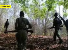 Chhattisgarh: 12 Maoists, Including 2 Area Committee Members, Surrender In Narayanpur maoist surrender chhattisgarh naxals