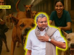 “We Can’t Aspire To Be A Global Power With Stray Dogs On Roads”, Says Congress MP Karti Chidambaram Welcoming Supreme Court Order On Strays karti chidambaram congress mp stray dog supreme court