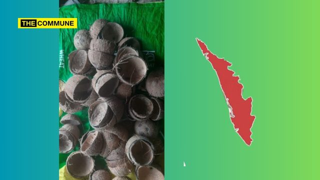 kerala coconut shells gold
