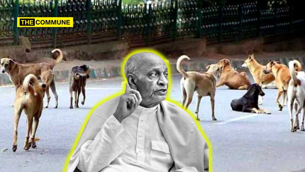 sardar patel stray dog supreme court