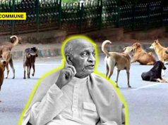 Supreme Court Stray Dog Ruling Brings Spotlight Back On Sardar Patel’s 1920s Municipal Drive Against Stray Dogs sardar patel stray dog supreme court