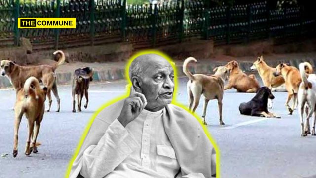 sardar patel stray dog supreme court