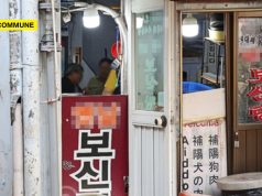 70% Of South Korea’s Dog Farms Shut Down After Dog Meat Ban south korea dog farm dog meat