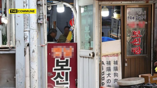 south korea dog farm dog meat