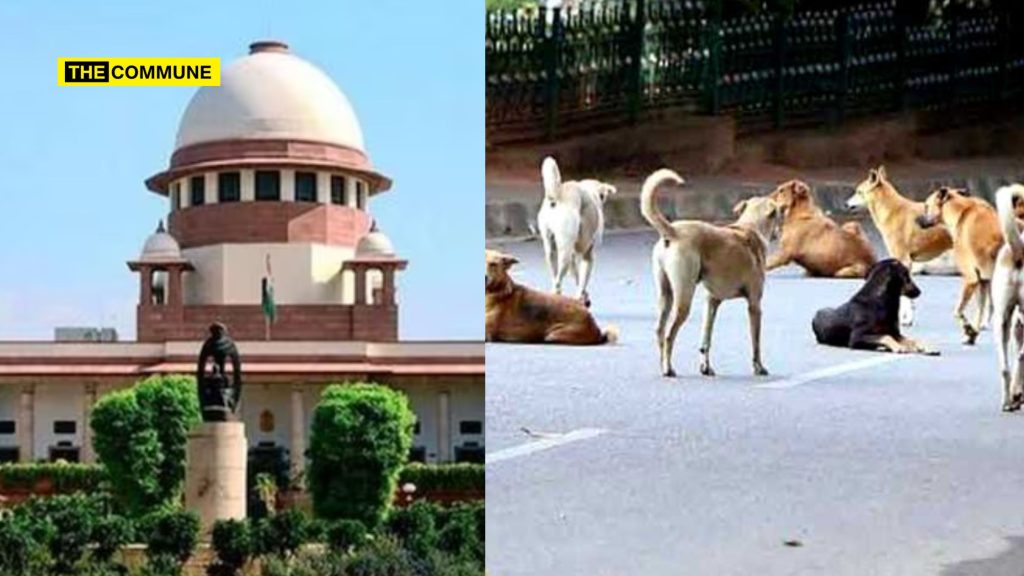 supreme court stray dogs rabies new delhi ncr