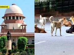 “Can Activists Bring Back Rabies Victims?”, Asks Supreme Court, Orders Removal Of All Stray Dogs In Delhi-NCR supreme court stray dogs rabies new delhi ncr