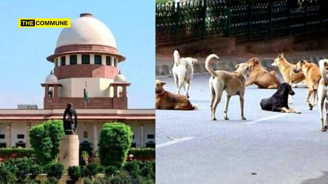supreme court stray dogs rabies new delhi ncr supreme court stray dogs rabies new delhi ncr