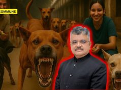 “Seen Videos Of People Eating Meat And Claiming To Be Animal Lovers”, Solicitor General Tushar Mehta’s Hard-Hitting Argument In Stray Dogs Case tushar mehta solicitor general stray dog case supreme court