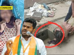 BJP Leader Annamalai Slams DMK Government After Woman Dies In Open Drain Mishap In Chennai annamalai dmk