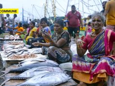 Blue Economy Gets A Push: Fisheries Sector Sees Major Tax Relief Under New GST Reforms