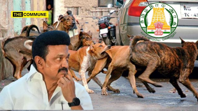 stray dog tamil nadu