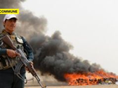 Major Drug Bust In Northern Afghanistan: 145 kg Of Narcotics Seized, 10 Detained