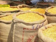 Dal Procurement Price Higher In Tamil Nadu Compared To Gujarat, ₹45 Crore Loss Risk Estimated
